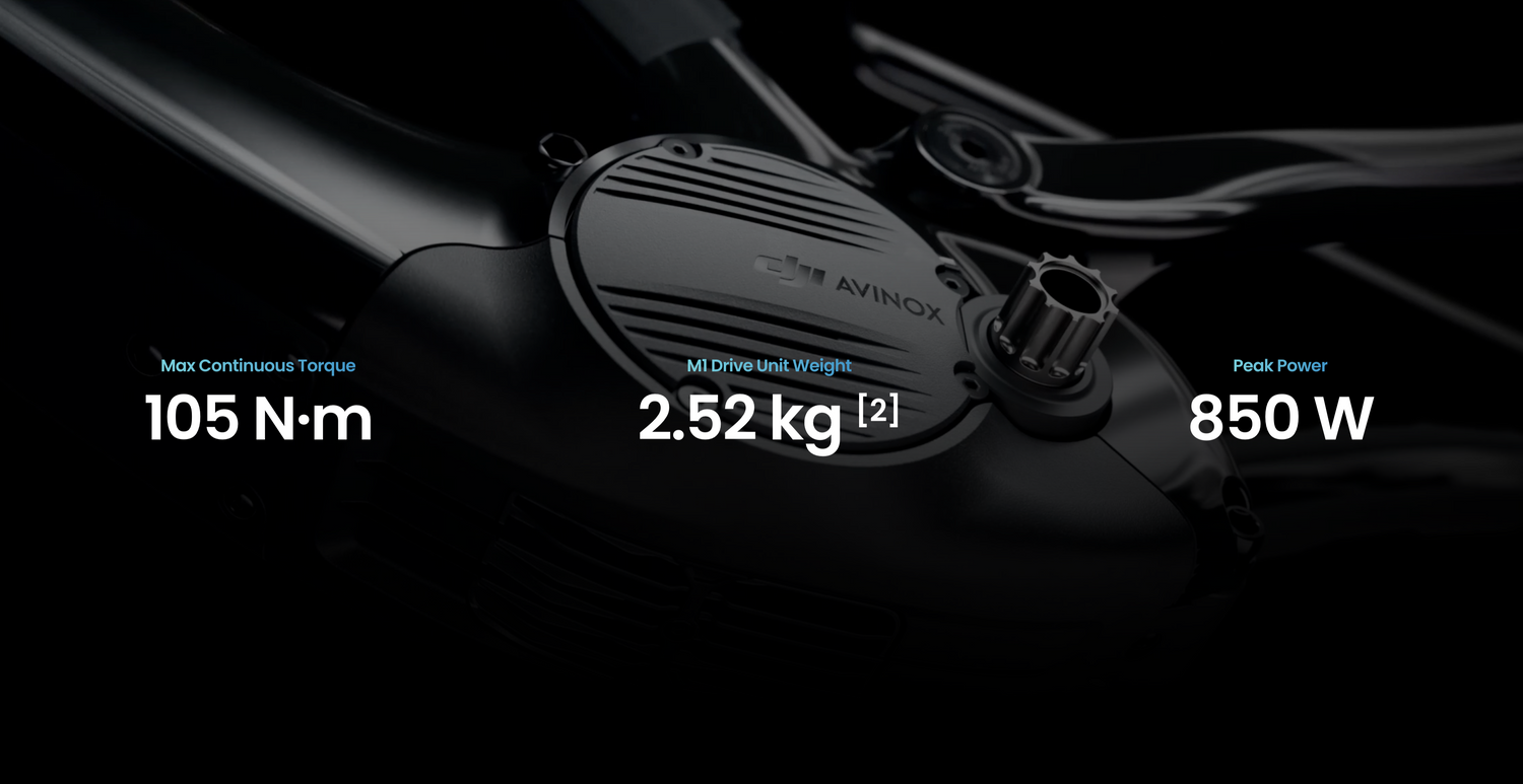 AMFLOW PL Carbon (800Wh)