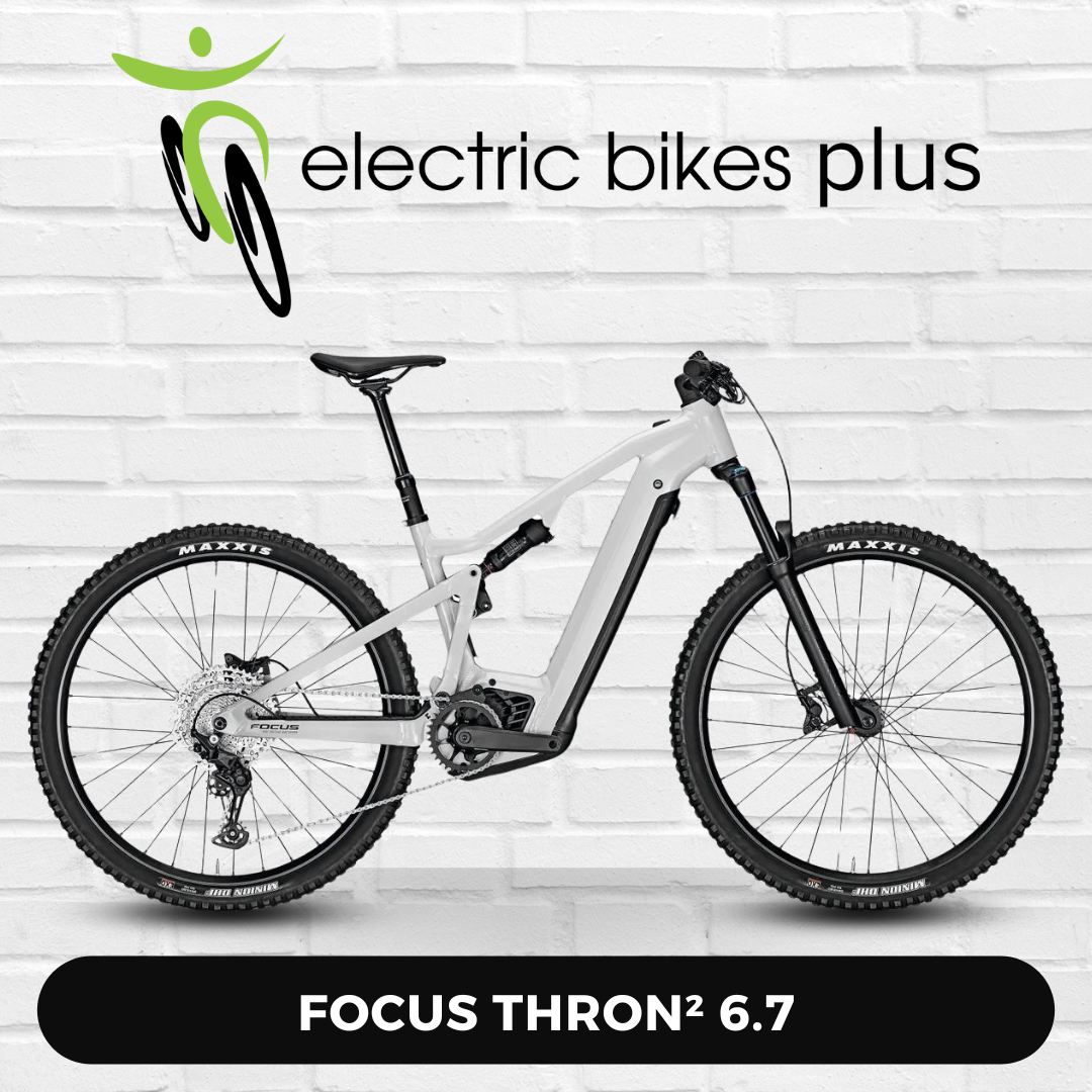 Focus Thron² 6.7