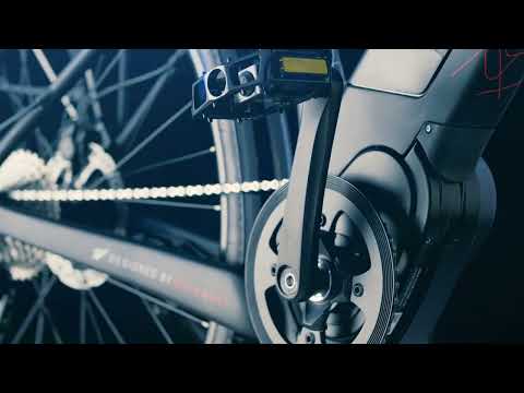 Hybrid M22 Sport Elite