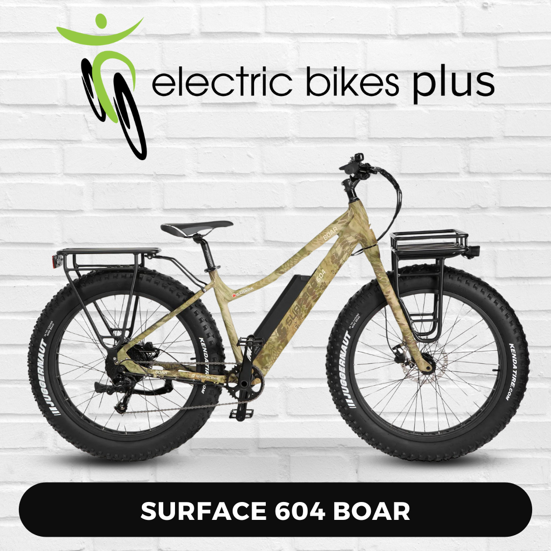 Surface 604 Boar