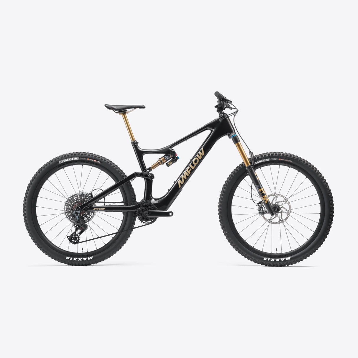 AMFLOW PL Pro Carbon (800wh)
