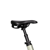 Aventon Abound LR Cargo