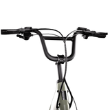 Aventon Abound LR Cargo